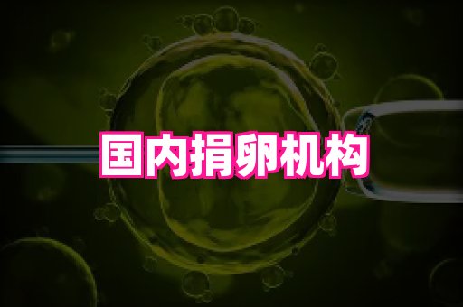 幸孕 2