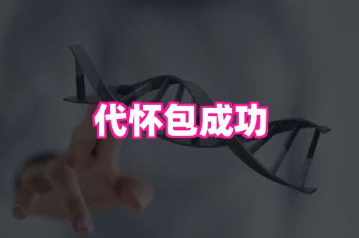 幸孕 4